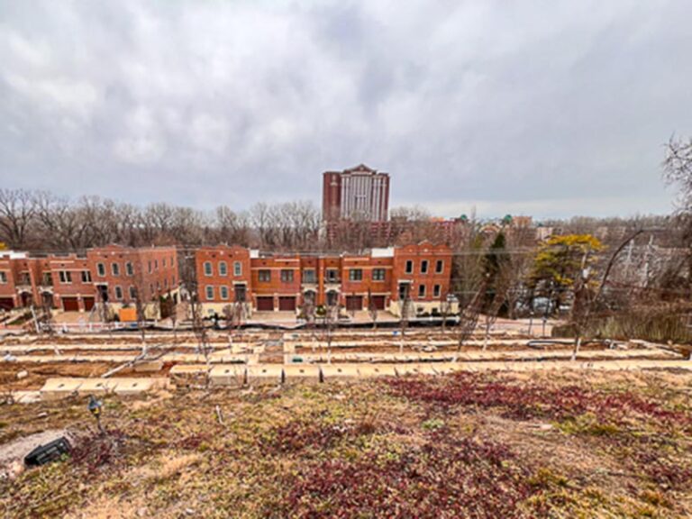 Renovation The Wine Garden